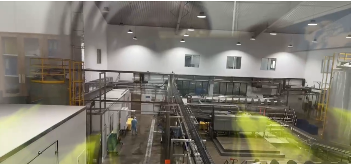 次氯酸發(fā)生器技術(shù)革新：提升海產(chǎn)品處理加工的安全與效率